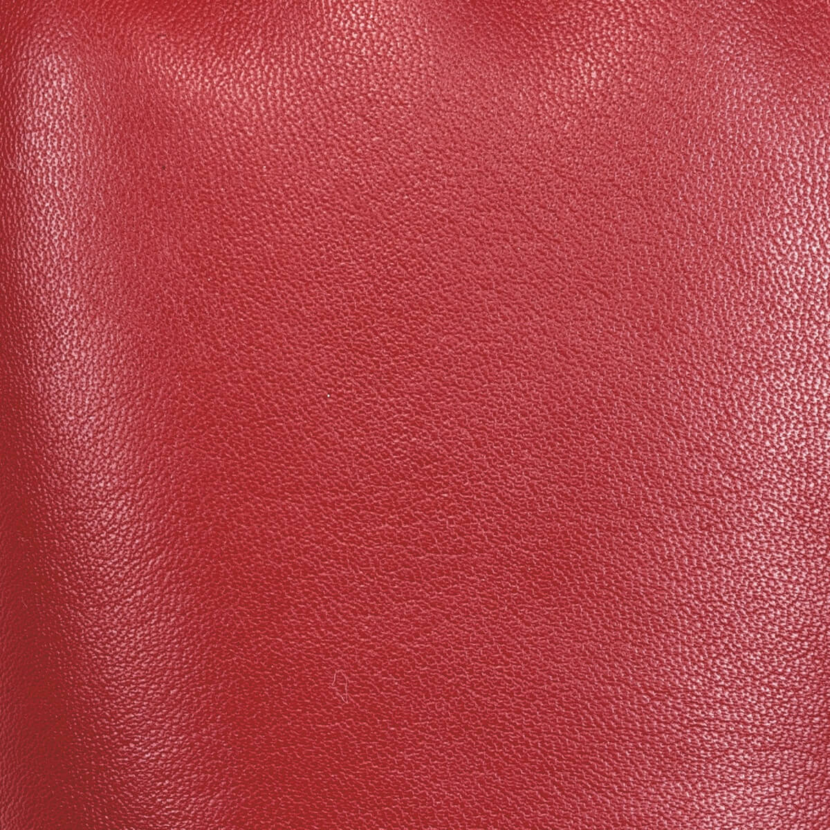 Red Leather Gloves Women Bardot - Schwartz & von Halen® - Premium Leather Gloves - 4