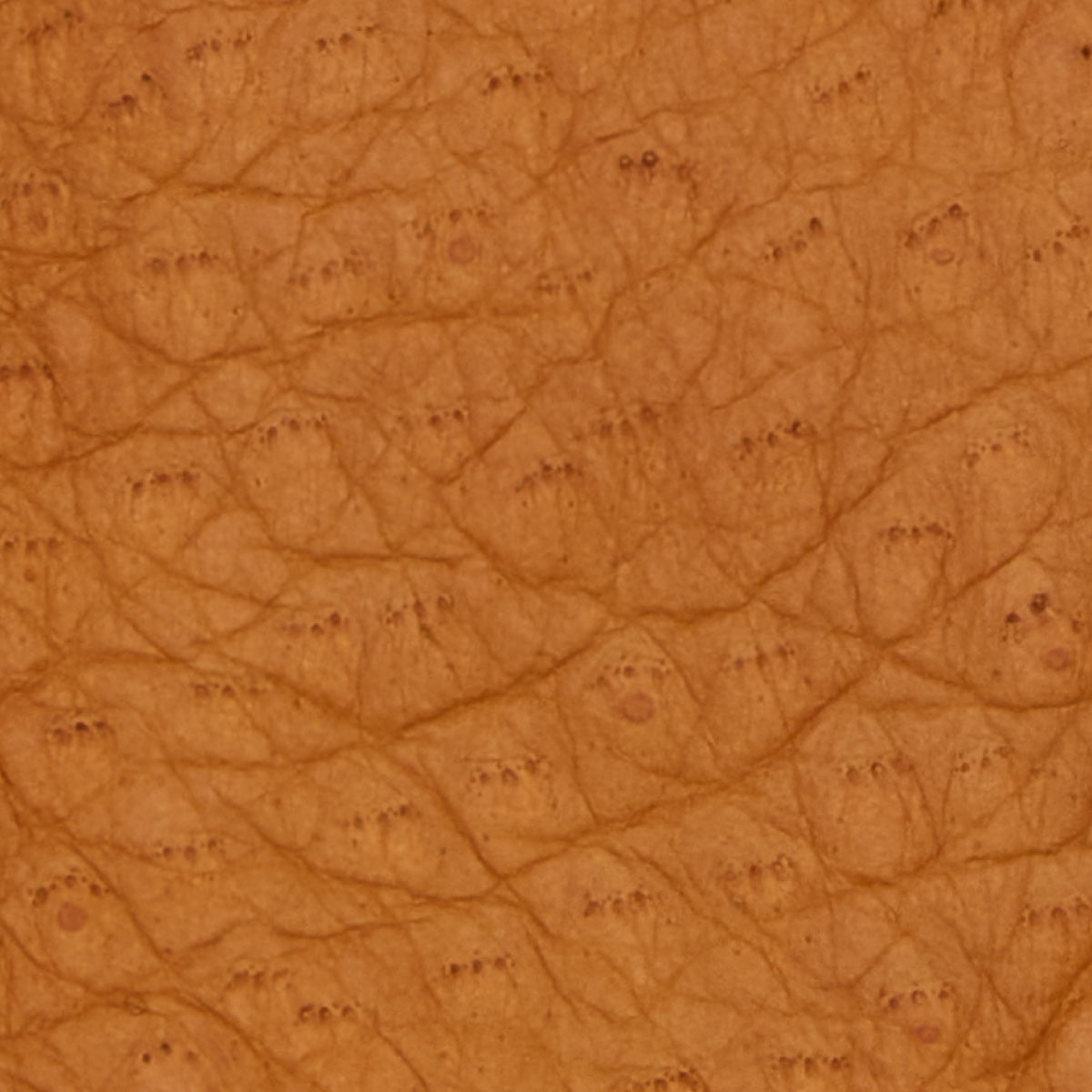 Close-up of cognac pebbled leather texture for gloves
